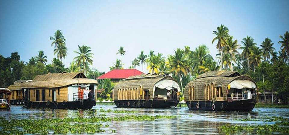 Discover the Best Way to Book a Houseboat in Alleppey