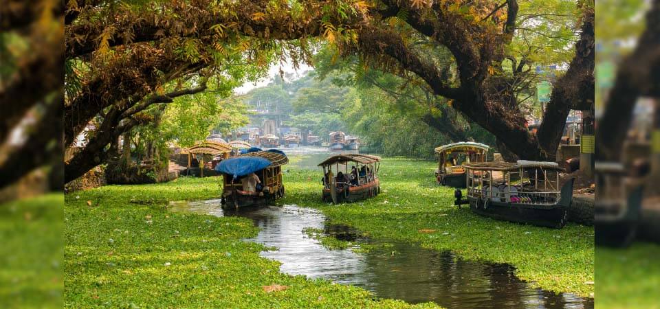 Events and Activities to Enjoy While on a Houseboat in Alleppey