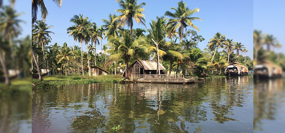 Top Scenic Routes for Houseboat Cruises in Alleppey